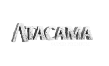 Logo Atacama
