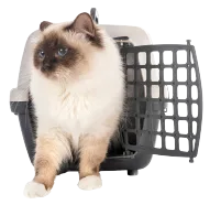 Transportadoras y mochilas para gatos - Pet Shop Tristan Uruguay
